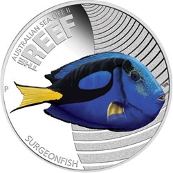 2012 Sea Life The Reef Surgeonfish