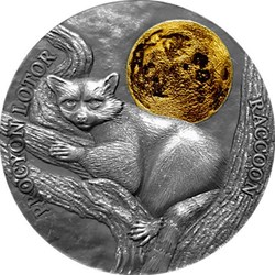 2021 - Raccoon Wildlife in the Moonlight Antique finish Silver Coin 2 Cedis Ghana
