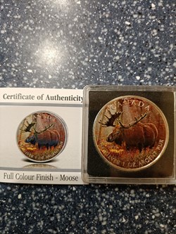 2012 Moose silver coloured 1 oz