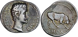 1. Augustus. 167a (bull)