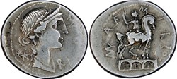 291/1. Aemilia - denarius (114-113 BC)