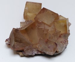 Fluorine Hameda Maroc 4,5x4,5x2 cm