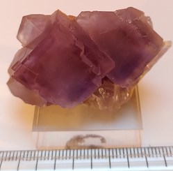 Fluorite, Berbes, Espagne (Asturies)