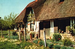 France-Normandie-Auge-Maison normande
