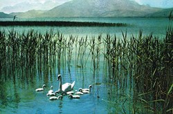 France-Haute Savoie-Lac d'annecy