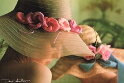 David Hamilton-N°26
