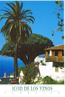 Espagne-Tenerife-Icod de Los Vinos