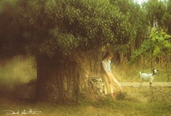 David Hamilton-N°61