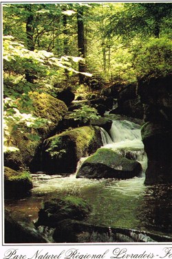France-Puys de Dome-Parc régional du Livradois