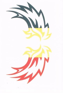 N°T11-Belgique-Panini 2018