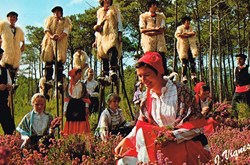 France-Landes-Folklore