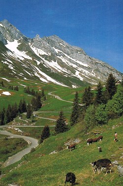 France-Haute Savoie-Le col des Aravis