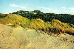 France-La Cote d'Opale