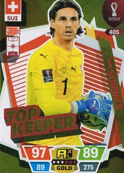 Suisse-Coupe du Monde Qatar 2022-N°405