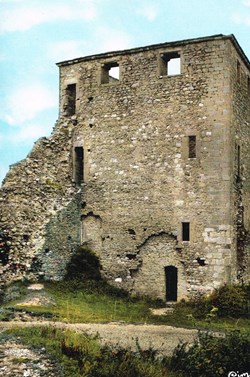 France-Ain-Ambérieur en Bugey-La tour Saint Denis