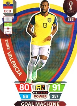 Equateur-Coupe du Monde Qatar 2022-N°383