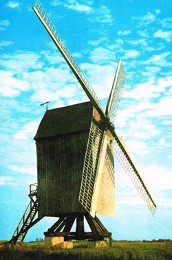 France-Nord-Hondschoote-Vieux moulin des flandres