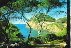 France-Var-Ile de Porquerol
