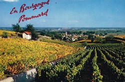France-Cote d'Or-Pommard