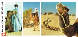 Tunisie-Djerba