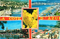 France-Var-Bandol