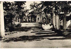 Algérie-Sétif-Jardins d'Orléans