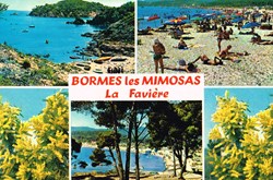 France-Var-Bornes Les Mimosas