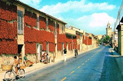 Espagne-Mallorca-Santa Maria-Secado de pimientos