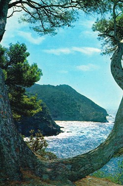France-Var-Cote d'Azur