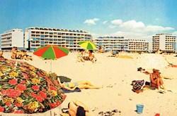 France-Pyrénées Orientales-Saint Cyprien plage