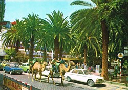 Espagne-Puerto de la Cruz-Place du Flaques