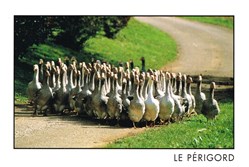 France-Le Périgord