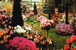 France-Paris-Floralies 1969