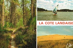France-Landes-La côte
