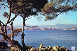 France-Alpes Maritimes-Antibes