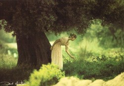 David Hamilton-N°72