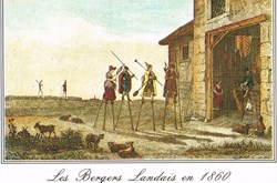 France-Landes-Anciennes gravures