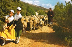 France-Provence-Transhumance