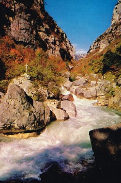 France-Alpes Martimes-Gorges du Loup