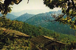 France-Cévennes-Col du Mercou
