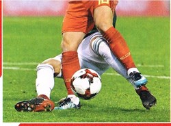 N°225-Belgique-Panini 2018