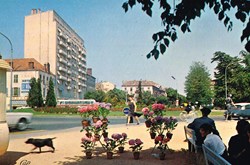 France Saône et Loire-Chalon sur Saône-Avenue de la république