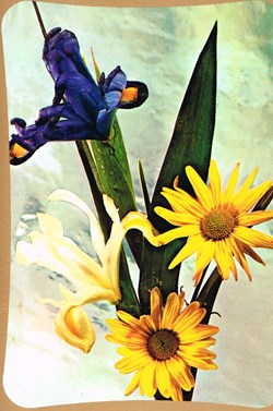 France-Fleurs
