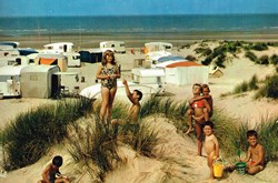 France-Nord-Bray Dune-Camping perroquet