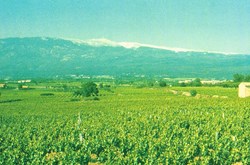 France-Vaucluse-Côtes du Ventoux