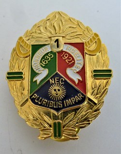 1er régiment étranger de cavalerie de Carpiagne-pin's