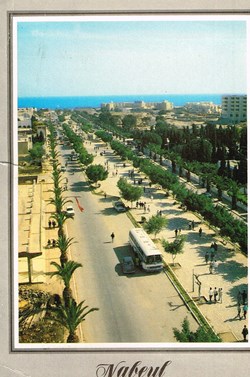 Tunisie-Nabeul