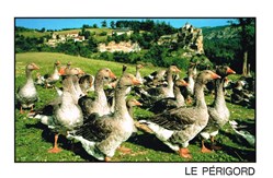 France-Le Périgord