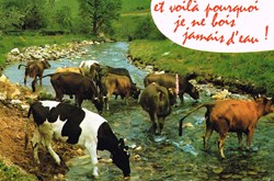 France-Haute Savoie