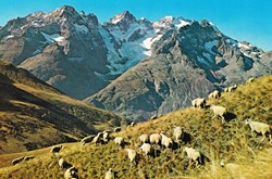France-Hautes Alpes-Col du Galibier